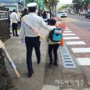 자치경찰단 서귀포지역경찰대 이미지