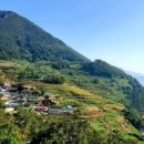 남해촌캉스 이미지