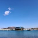 세종 행정사 사무소 이미지