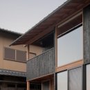 stadium of dogs 이미지