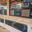 수일억조 횟집 이미지