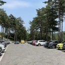 솔향수목원(제3주차장) 이미지