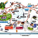 야생화길 이미지