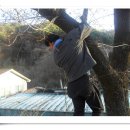수도녹색숲모티길 이미지