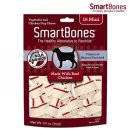 덴탈메트릭스 이미지