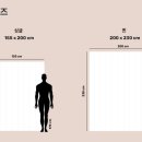 센타스타 에센셜 프리미엄 오복하우스 단독 최초 공동구매