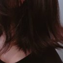 살롱드 오캄