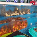 북항회.탕센타 이미지