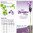 퍼플섬민박 이미지