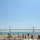 젊은이의양지 광안본점 이미지