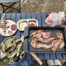 등대카모터스 이미지