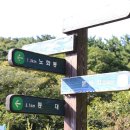 백경민박 | 소청도 등대 , 분바위