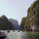Jungle Cruise | 총정리([2026 Ha Long Bay Master Guide] From Cruise Routes to Pricing &amp; Booking Tips: Everything...