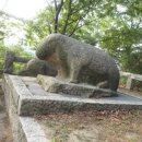 숲속송정농원 이미지