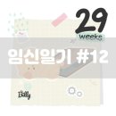 송성국치과의원 | [임신일기] 12. 만삭촬영 / 임산부 스케일링 / 제주도 태교여행