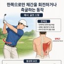 허리 통증의 진짜 원인, 광배근입니다 임상에서 반드시 봐야 할 핵심 근육 이미지