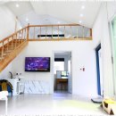 멍스타애견 이미지