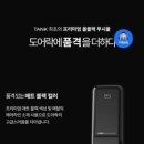 솔리헤어 이미지