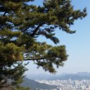 이루부동산공인중개사사무소 이미지