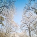 은혜로마트 이미지