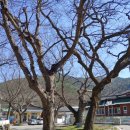 오토산 Daum카페