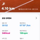 7회차 8km/62km 이미지