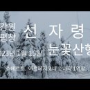 선자령 눈꽃산행 20230115 및 22일 오대산 날씨 이미지