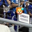 [야구] 2024 KBO 정규리그 후반기 직관 후기⚾️(+시야 포함)