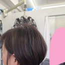 상고 | 경주 단발 잘하는곳 ✂️ 상고 보브컷 + 뿌리염색 5만원 가성비 후기