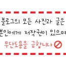 빅스타피자 경산점 이미지