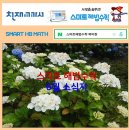 스마트해법수학 티스토리