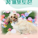 올바른참견 이미지