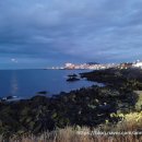 삼동 722 | 제주 야경 바닷가 구경 그리고 제주시 횟집 무한리필 도민 추천 청해야 방문 후기