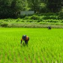 준석농장 이미지