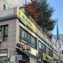 솔빛길가든 네이버블로그