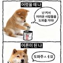 모찌모찌브레드 네이버블로그