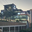 남산관광여행사자 | 서울 남산타워 케이블카 왕복 이용 후기, 서울 야경 명소 제대로 즐기기