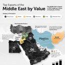 지도: 국가별 주요 중동 수출품 이미지