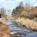 공룡의숨결 이미지