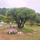 20260822_三虞祭 이미지