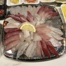 회가 | 속초 회포장 맛집 추천 회가 후기