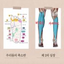 순환체형관리