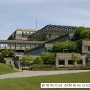 암벽등반벽 이미지