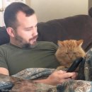 (주)펫바라기 이미지