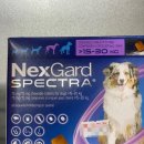 성호약국 이미지