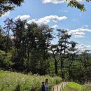 하나로 숙박 | 경기도 아이랑 여행지 추천 용인 자연휴양림 카라반 4번 숙박 후기