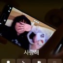 푸파501 | 조개껍데기는 녹슬지 않는다.