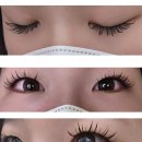 디자인굳 | 대구 내당동속눈썹연장 서구 올리도 디자인 연장 추천 후기