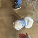 부평구청역 8번 출구 | [인천 부평] 부평구청 역 런 아모크(RUN AMOK) 감성 가득 아기자기한 카페 추천