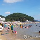 시청 제1별관9 이미지